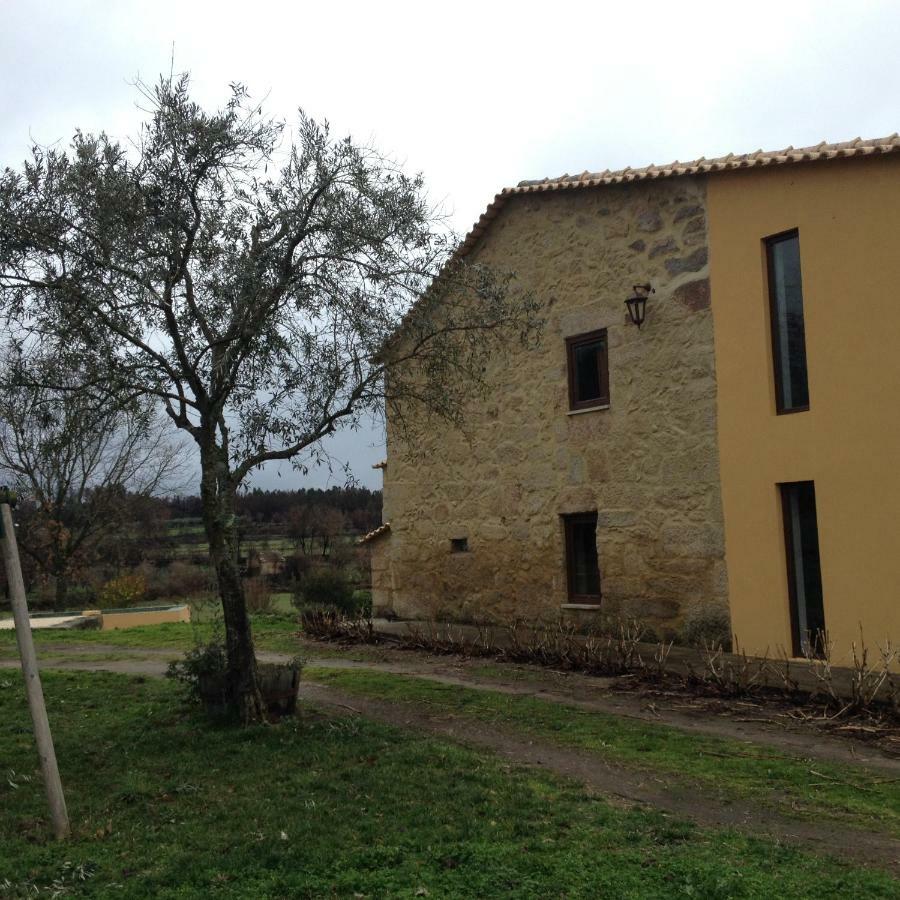 Quinta Damigo Pension Seia Buitenkant foto