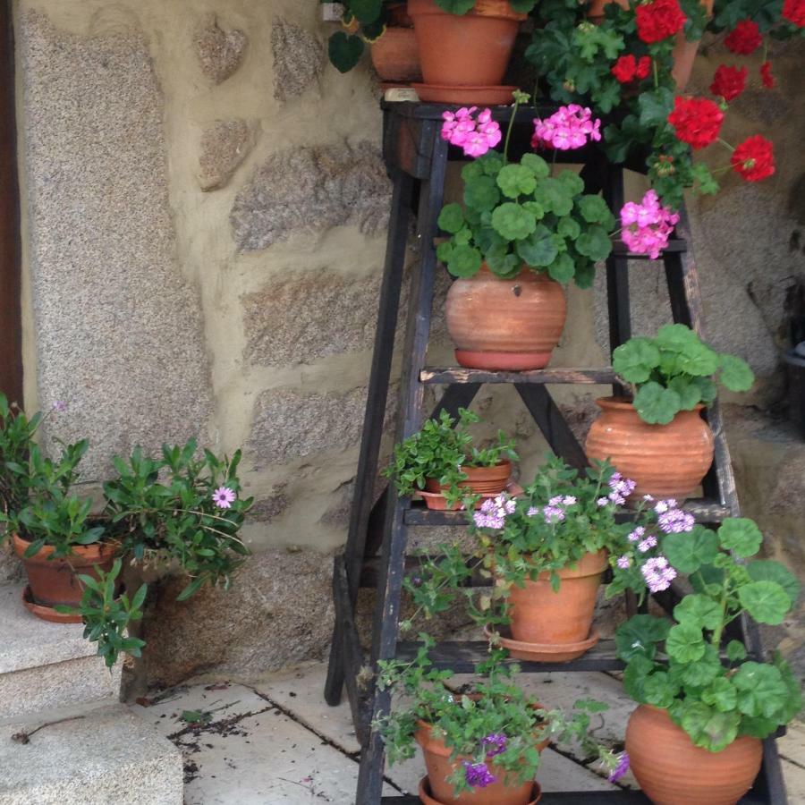 Quinta Damigo Pension Seia Buitenkant foto