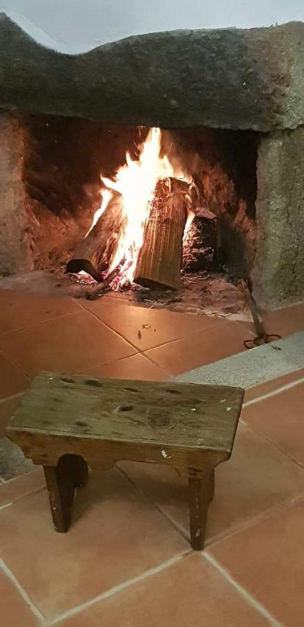 Quinta Damigo Pension Seia Buitenkant foto
