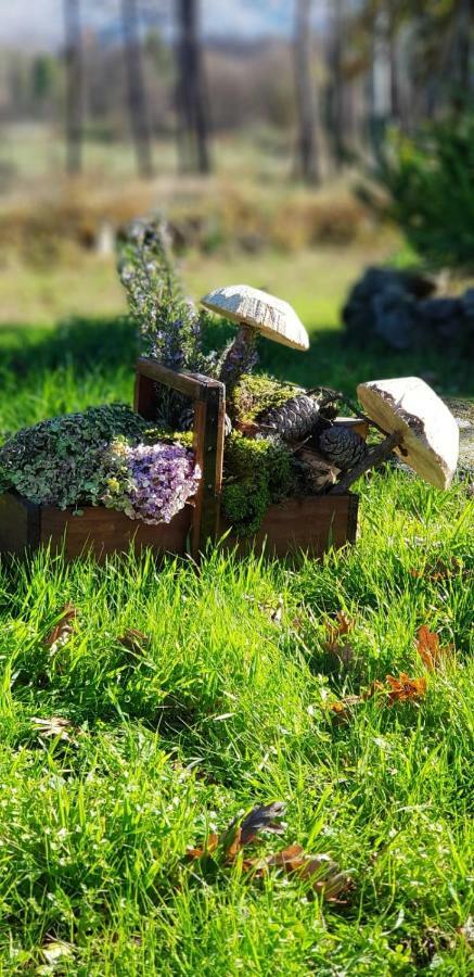 Quinta Damigo Pension Seia Buitenkant foto