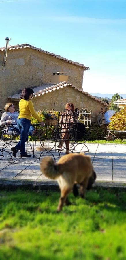 Quinta Damigo Pension Seia Buitenkant foto